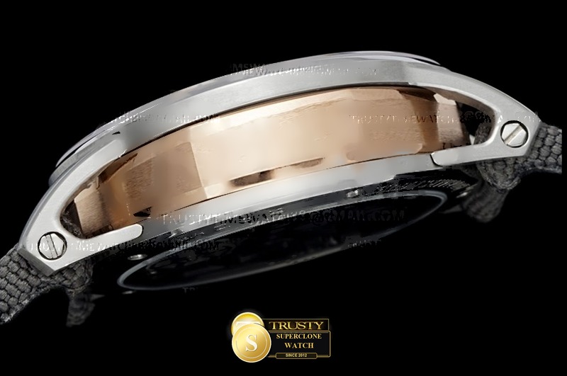Audemars Piguet Ref. AP0887B ASIAN - Crown Guard & Dial Lume Verification (Photo 26 of 28)
