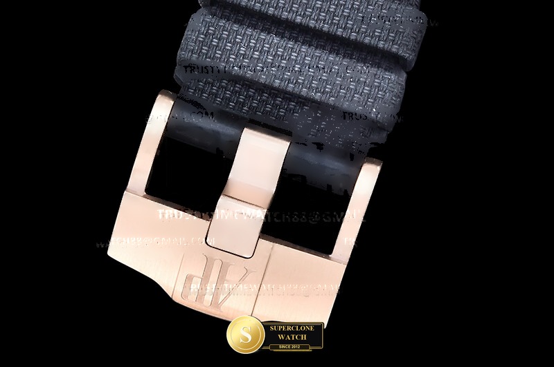 Audemars Piguet Ref. AP0895A ASIAN - Crown Guard & Dial Lume Verification (Photo 8 of 24)