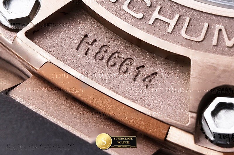 Audemars Piguet Ref. AP0868C ASIAN - Crown Guard & Dial Lume Verification (Photo 22 of 25)