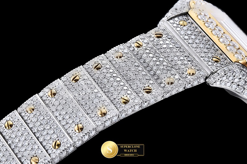 Cartier Ref. CAR0640D TWF - Crown Guard & Dial Lume Verification (Photo 14 of 21)