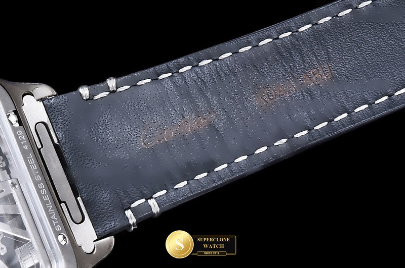Cartier Ref. CAR0641G RICH - Crown Guard & Dial Lume Verification (Photo 14 of 19)