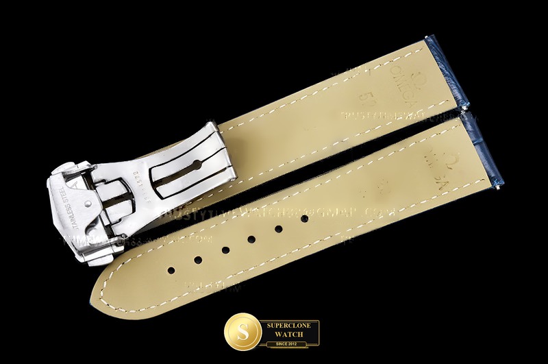 Omega Ref. OMG0863D ASIAN - Crown Guard & Dial Lume Verification (Photo 38 of 39)