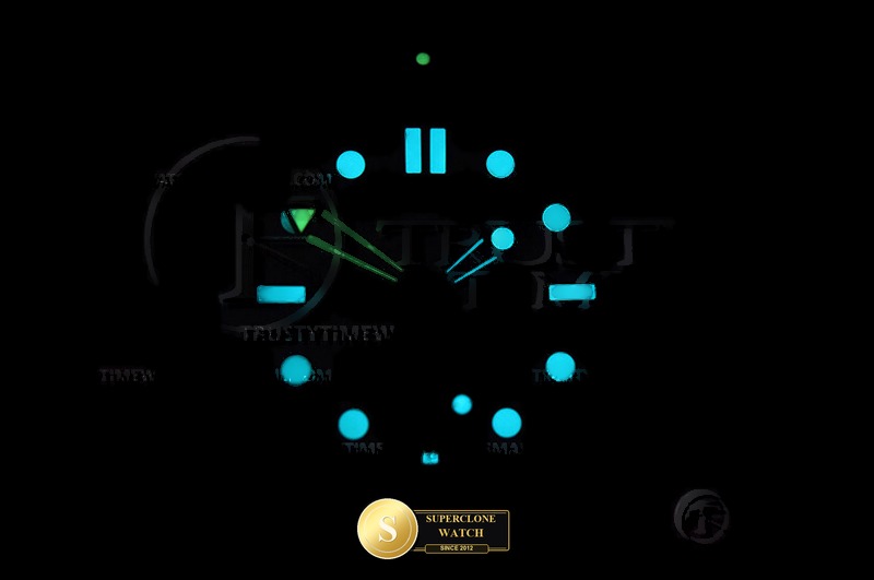 Omega Ref. OMG0894 VSF - Crown Guard & Dial Lume Verification (Photo 32 of 32)