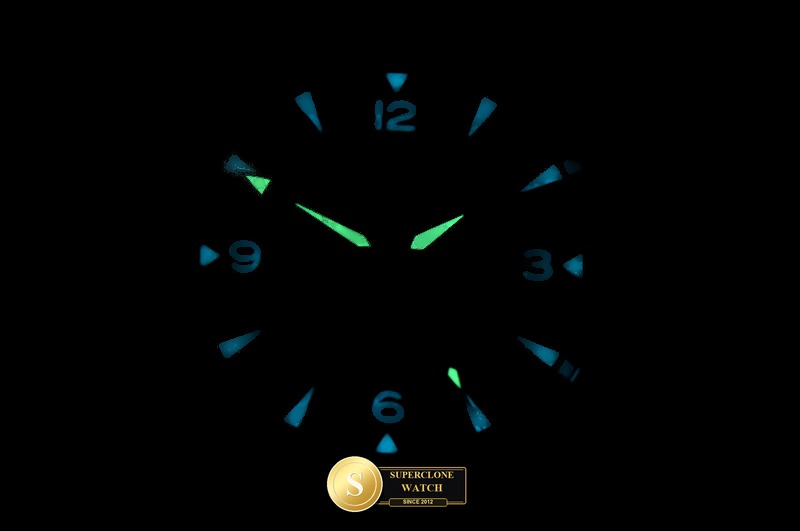 Omega Ref. OMGACC022A ORF - Crown Guard & Dial Lume Verification (Photo 24 of 24)