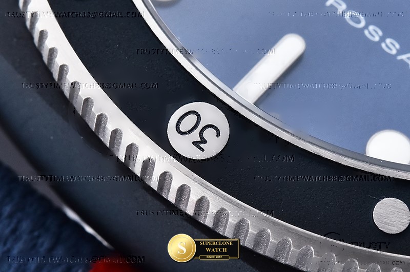 Panerai Ref. PAM1466 VSF - Crown Guard & Dial Lume Verification (Photo 14 of 30)