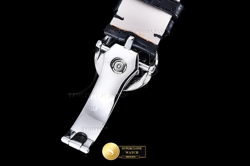 Patek Philippe Ref. PP0531D 3KF - Crown Guard & Dial Lume Verification (Photo 14 of 27)