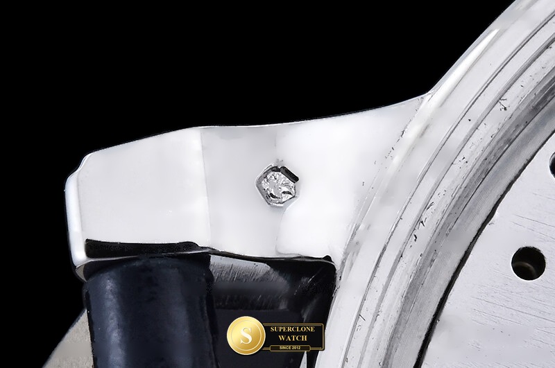 Patek Philippe Ref. PP0548A PPF - Crown Guard & Dial Lume Verification (Photo 24 of 29)