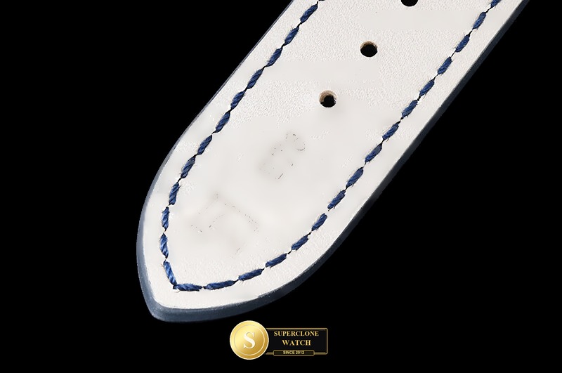 Patek Philippe Ref. 6104 PPF - Crown Guard & Dial Lume Verification (Photo 18 of 30)