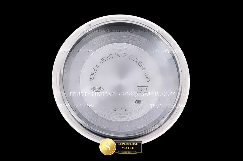 Rolex Ref. RDD0289F GMF - Crown Guard & Dial Lume Verification (Photo 28 of 29)