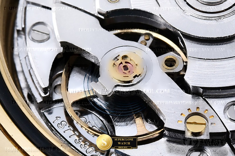 Rolex Ref. RDD0294F GMF - On-Wrist Presence & Case Thickness View (Photo 27 of 30)