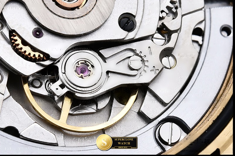 Rolex Ref. RDD0318D GMF - On-Wrist Presence & Case Thickness View (Photo 15 of 26)
