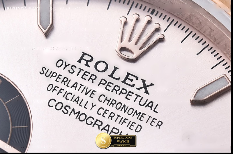 Rolex Ref. 126505 QF - On-Wrist Presence & Case Thickness View (Photo 9 of 33)