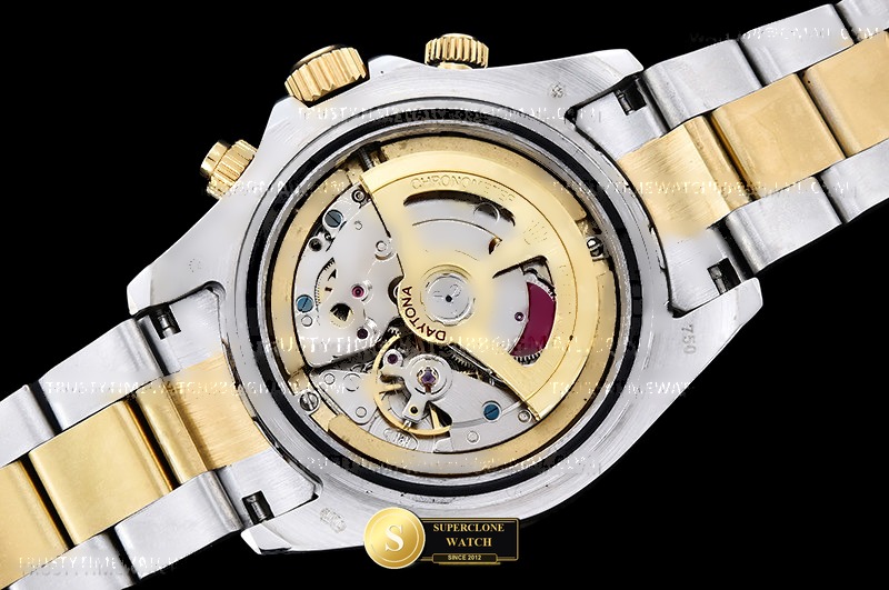 Rolex Ref. 126503 ASIAN - On-Wrist Presence & Case Thickness View (Photo 17 of 25)