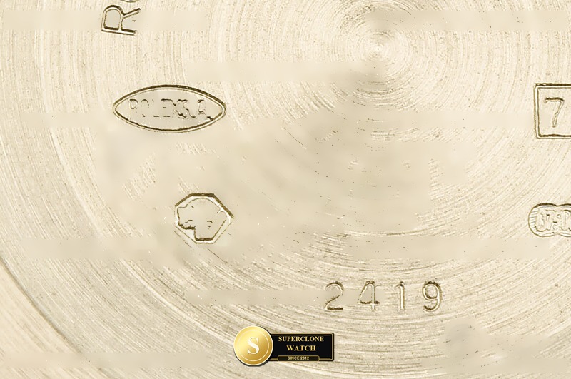 Rolex Ref. RDD0369B RCF - Crown Guard & Dial Lume Verification (Photo 30 of 32)