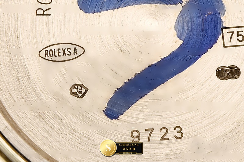 Rolex Ref. RDD0381D CBD - Crown Guard & Dial Lume Verification (Photo 30 of 31)
