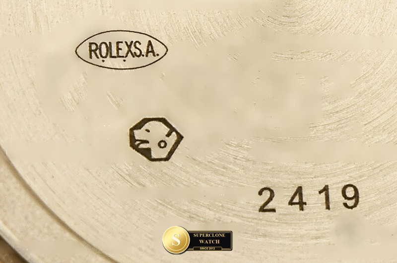 Rolex Ref. RDD0395K TM - Crown Guard & Dial Lume Verification (Photo 30 of 31)