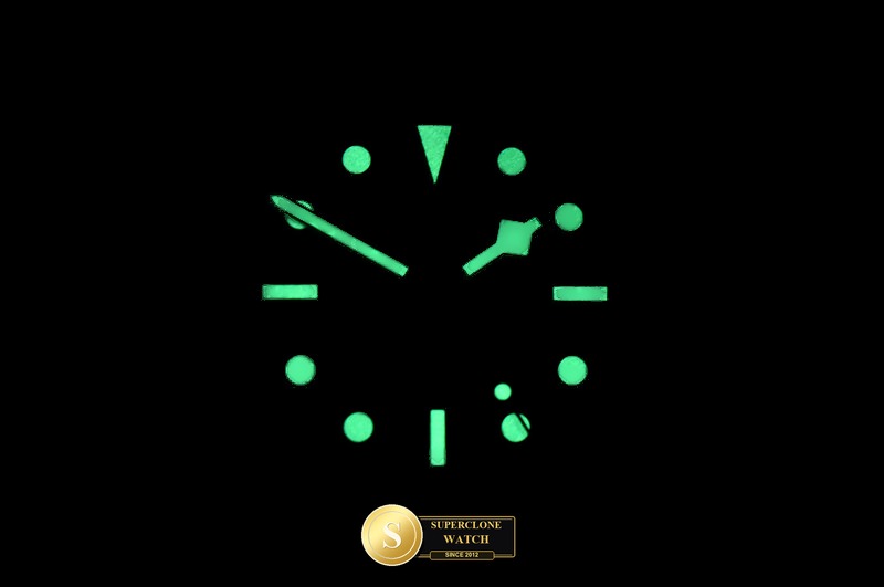 Tudor Ref. TUD125A KRF - Crown Guard & Dial Lume Verification (Photo 24 of 24)