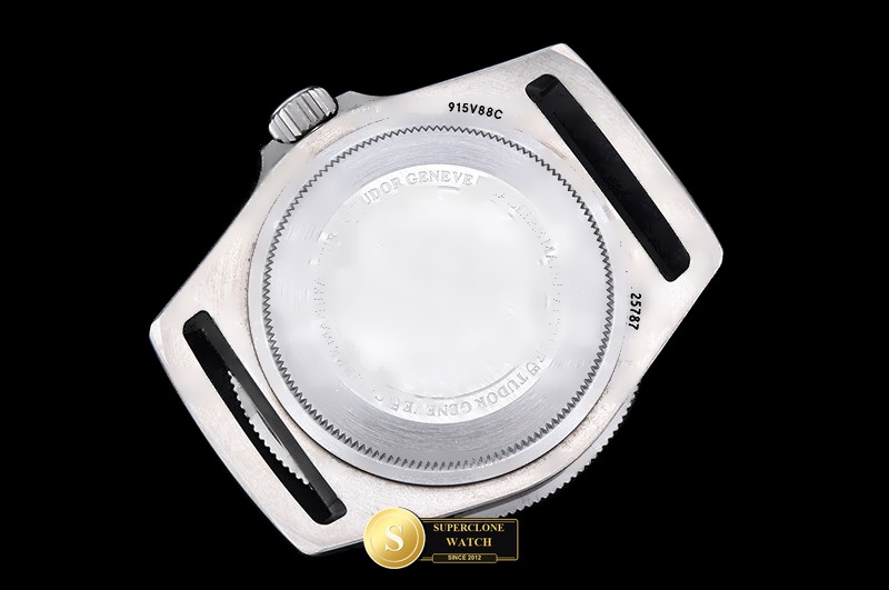 Tudor Ref. TUD130C WMF - Crown Guard & Dial Lume Verification (Photo 16 of 25)