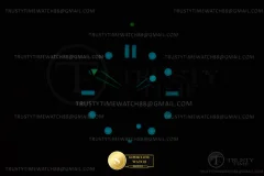 Omega Ref. OMG0858B ASIAN - Crown Guard & Dial Lume Verification (Photo 32 of 32)