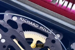 Richard Mille Ref. RM67-02 UMI - On-Wrist Presence & Case Thickness View (Photo 19 of 24)