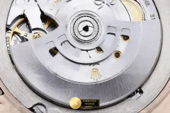 Rolex Ref. RDD0370D RCF - Crown Guard & Dial Lume Verification (Photo 20 of 32)