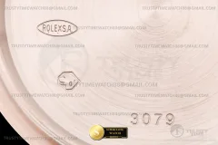 Rolex Ref. 126505 RWF - On-Wrist Presence & Case Thickness View (Photo 31 of 32)